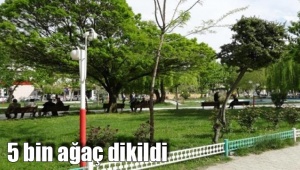 5 bin ağaç dikildi