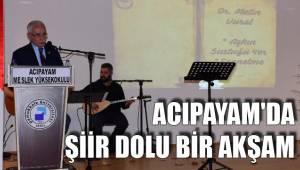 ACIPAYAM'DA ŞİİR DOLU BİR AKŞAM