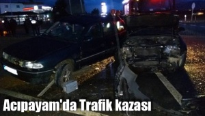 Acıpayam'da Trafik kazası