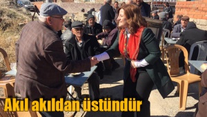 Akıl akıldan üstündür