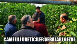 ÇAMELİLİ ÜRETİCİLER SERALARI GEZDİ