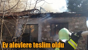 Ev alevlere teslim oldu