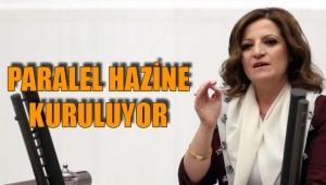 Paralel hazine kuruluyor