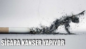 Sigara kanser yapıyor