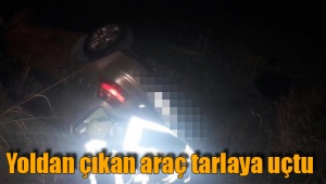 Yoldan çıkan araç tarlaya uçtu