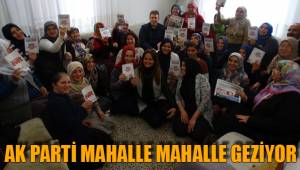 AK PARTİ MAHALLE MAHALLE GEZİYOR