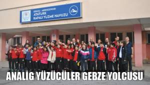 ANALİG YÜZÜCÜLER GEBZE YOLCUSU