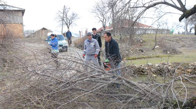 Bahar temizliği başladı