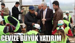CEVİZE BÜYÜK YATIRIM