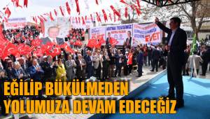 EĞİLİP BÜKÜLMEDEN YOLUMUZA DEVAM EDECEĞİZ