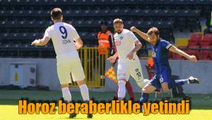 Horoz beraberlikle yetindi