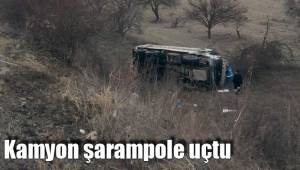 Kamyon şarampole uçtu