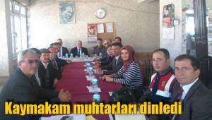 Kaymakam muhtarları dinledi
