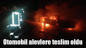 Otomobil alevlere teslim oldu