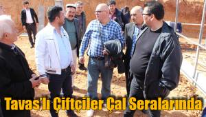 Tavas'lı Çiftçiler Çal Seralarında