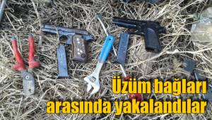 Üzüm bağları arasında yakalandılar