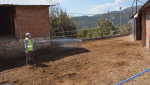 AHIRLAR İLAÇLANIYOR