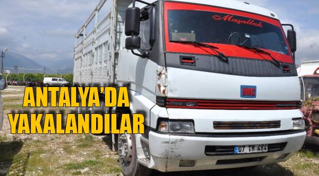 ANTALYA’DA YAKALANDILAR