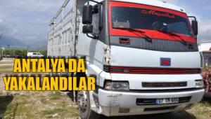ANTALYA’DA YAKALANDILAR