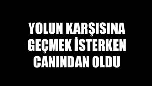ÇAL'DA ÖLÜMLÜ KAZA