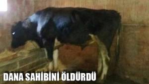 DANA SAHİBİNİ ÖLDÜRDÜ