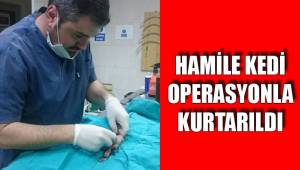 Gece operasyonu başarıyla sonlandı