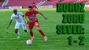 Horoz kazanmayı bildi
