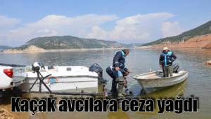 Kaçak avcılara ceza yağdı