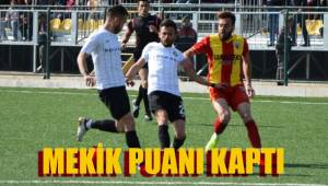 MEKİK PUANI KAPTI