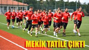 MEKİK TATİLE ÇIKTI