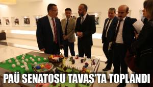 PAÜ SENATOSU TAVAS’TA TOPLANDI