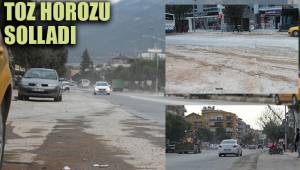 TOZ HOROZU SOLLADI