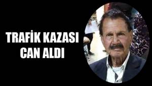 Yolun karşısına geçmek isterken canından oldu