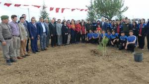 810 fidan toprakla buluştu