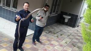 DAVETSİZ MİSAFİRİ İTFAİYE YAKALADI