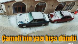 ÇAMELİ’YE DOLU YAĞDI