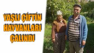HAYVANLARINI ÇALDILAR