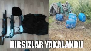 HIRSIZLAR YAKALANDI!