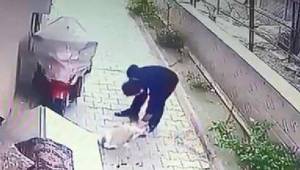 KÖPEK HIRSIZI KAMERALARA YAKALANDI