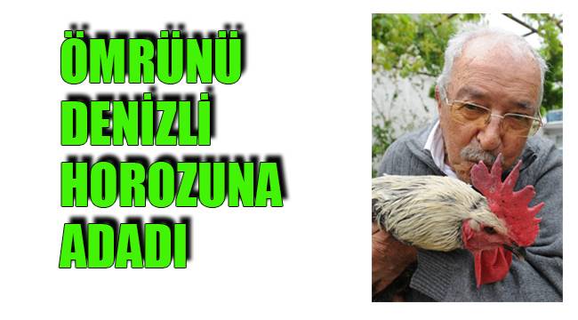 ÖMRÜNÜ DENİZLİ HOROZUNA ADADI