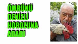 ÖMRÜNÜ DENİZLİ HOROZUNA ADADI
