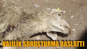 SORUŞTURMA BAŞLATILDI