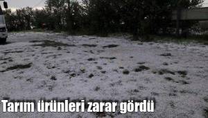 Tarım ürünleri zarar gördü