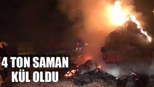 4 TON SAMAN KÜL OLDU