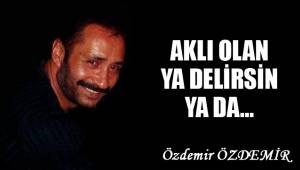 AKLI OLAN YA DELİRSİN YA DA