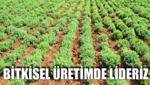 BİTKİSEL ÜRETİMDE LİDERİZ