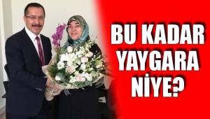 BU KADAR YAYGARA NİYE?
