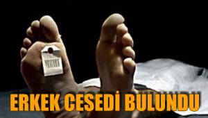 ERKEK CESEDİ BULUNDU