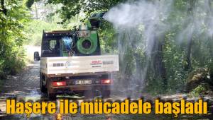 Haşere ile mücadele başladı