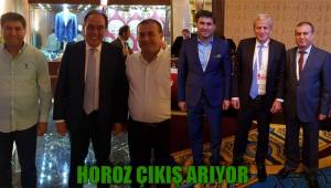 HOROZ ÇIKIŞ ARIYOR